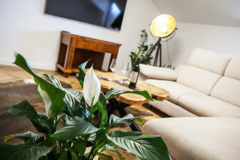 Apartment7-07